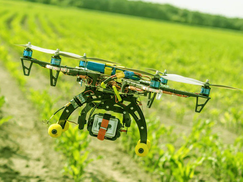6 Amazing Ways Machine Learning Can Transform Farming