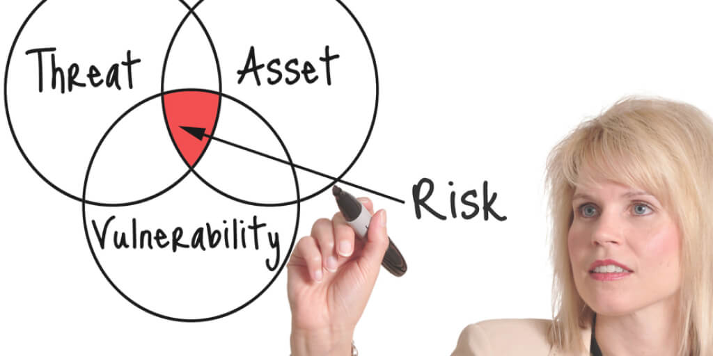 Assessing Risks and Vulnerabilities