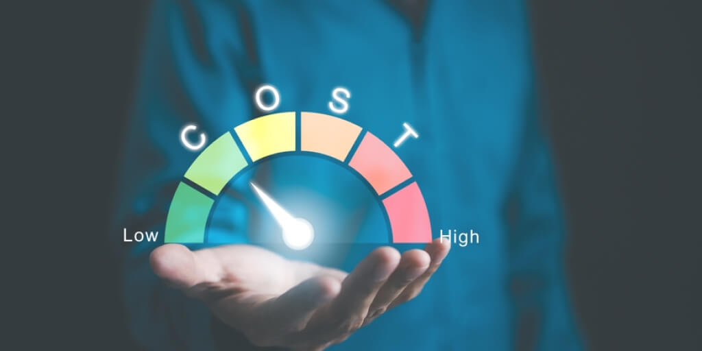 Cost-effectiveness and Resource Optimization