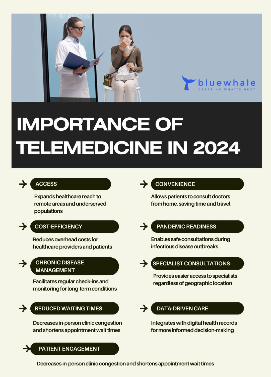 Importance of Telemedicine in 2024