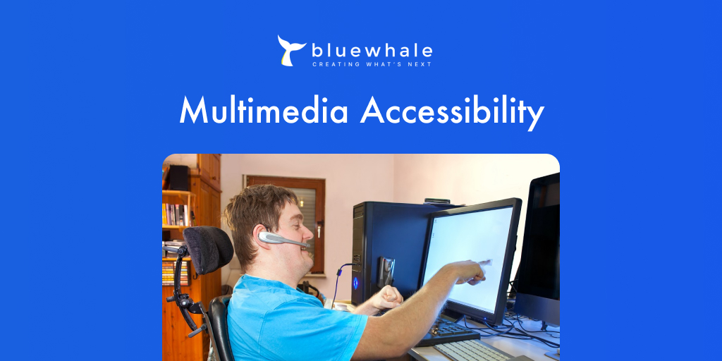 Multimedia Accessibility